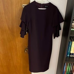 Terri Jon size 6 deep plum knee length dress. Perfect condition.
